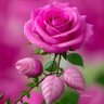 விஜய ராகவன்'s profile picture