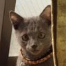 Profilbild von かぁくん