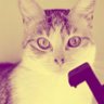 Fanny's profile picture
