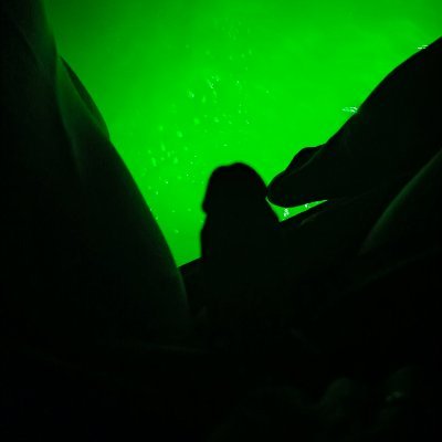 'B' ball 🫀's profile picture