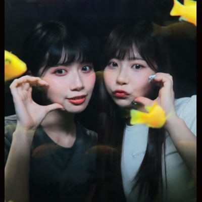 ブキ氏's profile picture