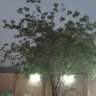 اللهم احفظ وطنا 的头像