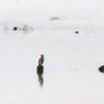 Profilbild von Aaaabn