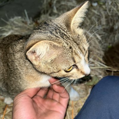 pxwatr1273's profile picture
