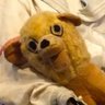 Profilbild von メシクート・ハラデール