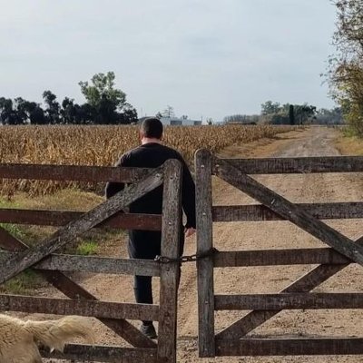 elpamperop's profile picture