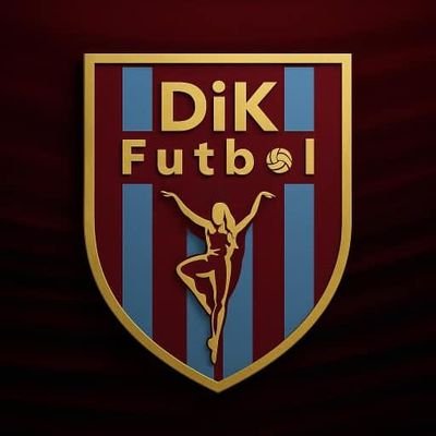 DikFutbol's profile picture