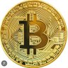 Ron ₿ HODLer's profile picture
