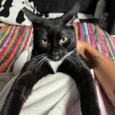 eclipstir's profile picture