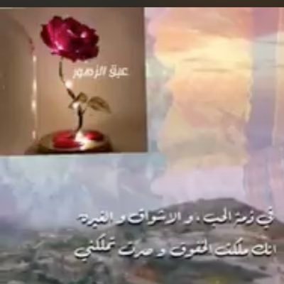 flower_bridg's profile picture