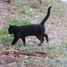 うさうさ profil fotoğrafı