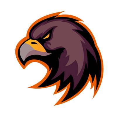 Hawk's Eye's profile picture