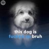 Djij45's profile picture