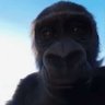 Profilbild von skdb007