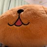 なぼちん 的头像