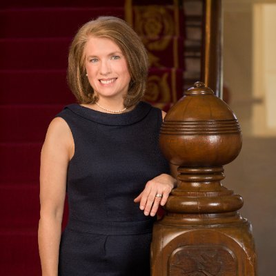 Anna Stein's profile picture