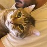 Profilbild von Ayı