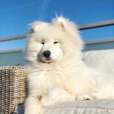 얘드⁶⁵'s profile picture