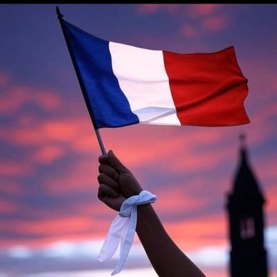 T.Apolitique Sallaud !🇨🇵🇷🇺's profile picture