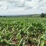 Nderitu.'s profile picture