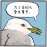 鹰言鹰语quotation 的头像