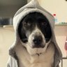 Can's profile picture