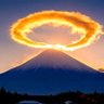 この木何の木's profile picture