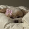 ๐๐๐ง ๐'s profile picture