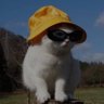 Profilbild von Xoopah