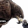 Фото профиля WeThePeople