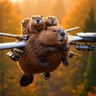Bober z furi's profile picture
