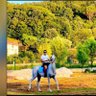 مالك محمد الصغير's profile picture