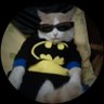 agger's profile picture
