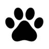 タマとポチ profil fotoğrafı