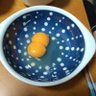 やられた感じ 的头像