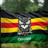 Real Ogugu Son's profile picture