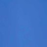 Walter Mees Gout's profile picture