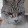 ソラママ🎀【サブ垢】 的头像