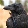 Фото профиля JustWatching