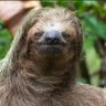 Gui (₿,τ,α)/21m profil fotoğrafı