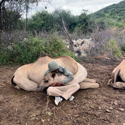 OmarrFarah1's profile picture