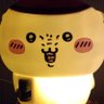 ま_doc's profile picture