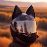 ☆真一☆'s profile picture