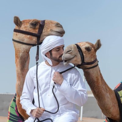 15555h2's profile picture