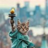 EUSTO profil fotoğrafı