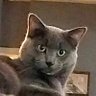 Profilbild von David Blanchette
