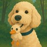 Raymond Pattend 的头像