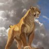 Profilbild von SMILODON ENTHUSIAST