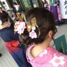 Profilbild von あすか