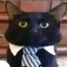 Profilbild von lls